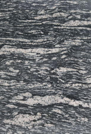 Black Marquino