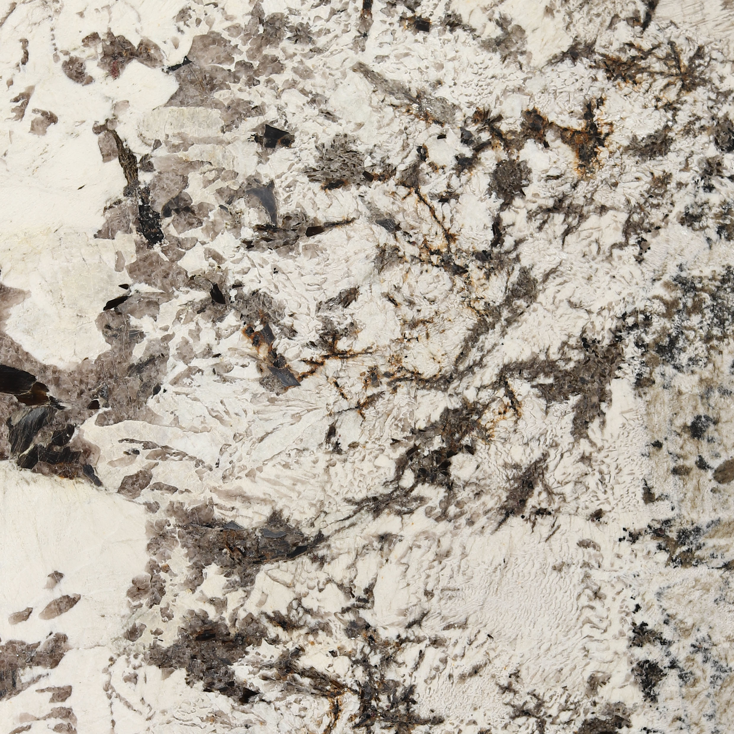 Alpine White
